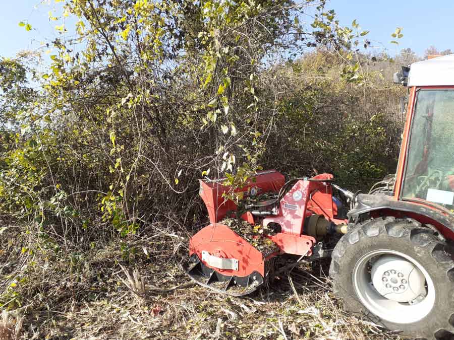 palladino SF trinciatrice semiforestale per trattori da 80-140 HP 2