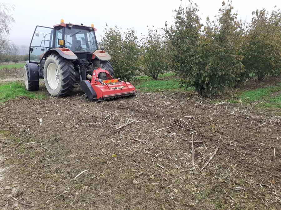palladino SF trinciatrice semiforestale per trattori da 80-140 HP 3