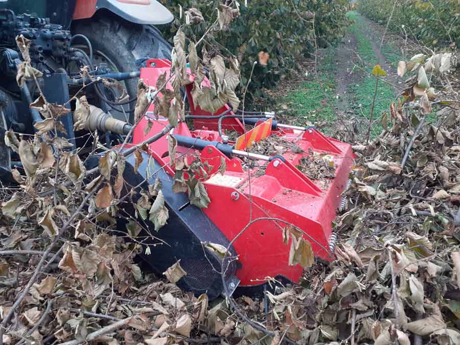 palladino SF trinciatrice semiforestale per trattori da 80-140 HP 4